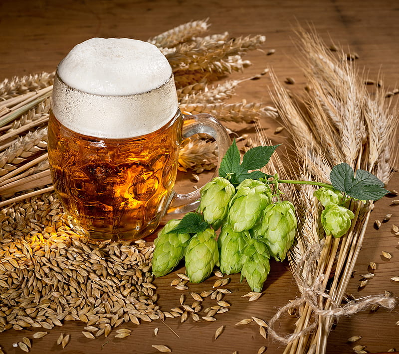 Brew, alcohol, beer, drink, plant, vegetable, oktober, HD wallpaper