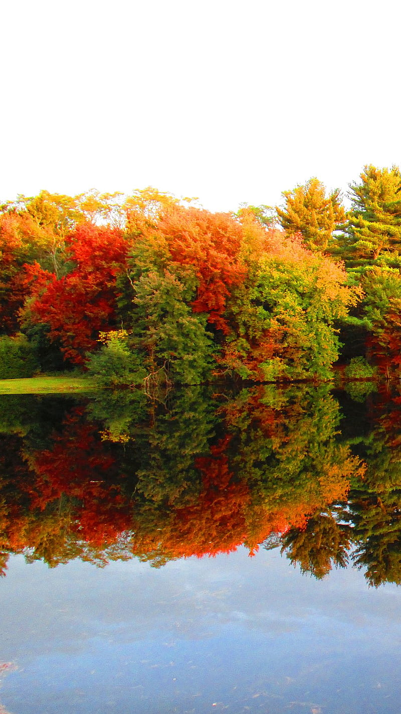 Fall Leaves, fall autumn, lake, HD phone wallpaper