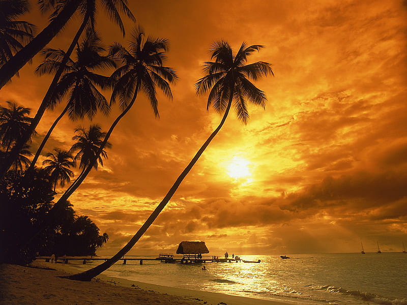 pigeon point at sunset Tobago, beach, ocean, sunset, island, trees, tobago, sky, palms, HD wallpaper