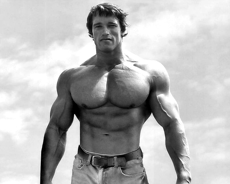 Arnold Schwarzenegger, Celebrity, HD wallpaper