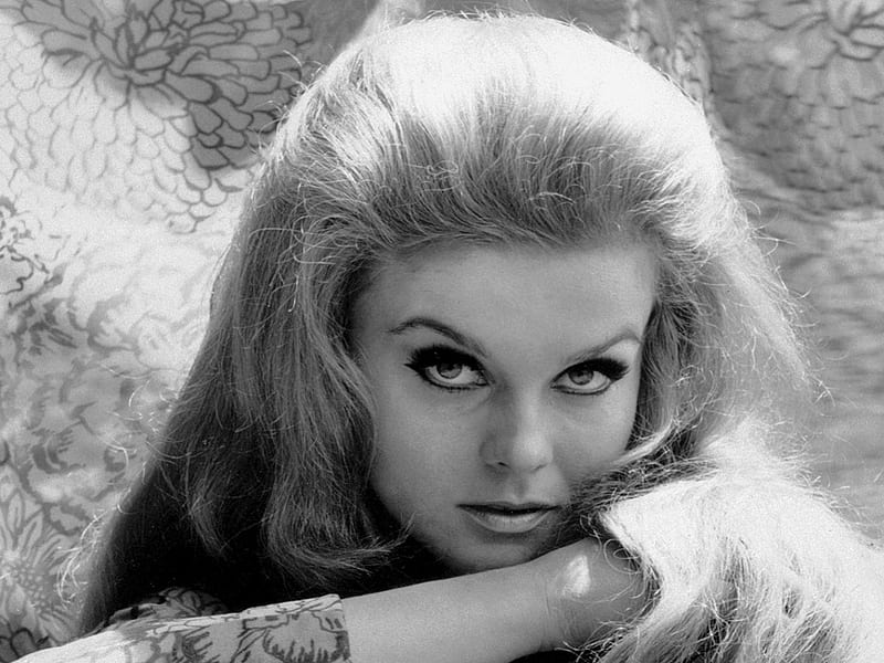 Ann Margret07, movie star, singer, dancer, elivs, HD wallpaper | Peakpx