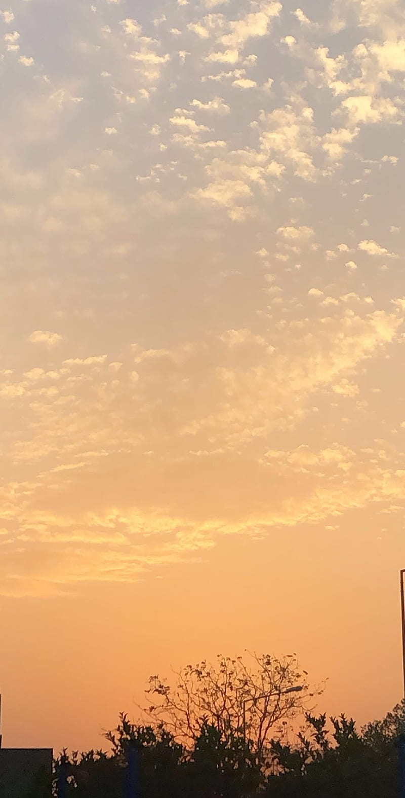 Dawn, aesthetic, asia, bonito, horizon, lahore, pakistan, summer, HD phone wallpaper