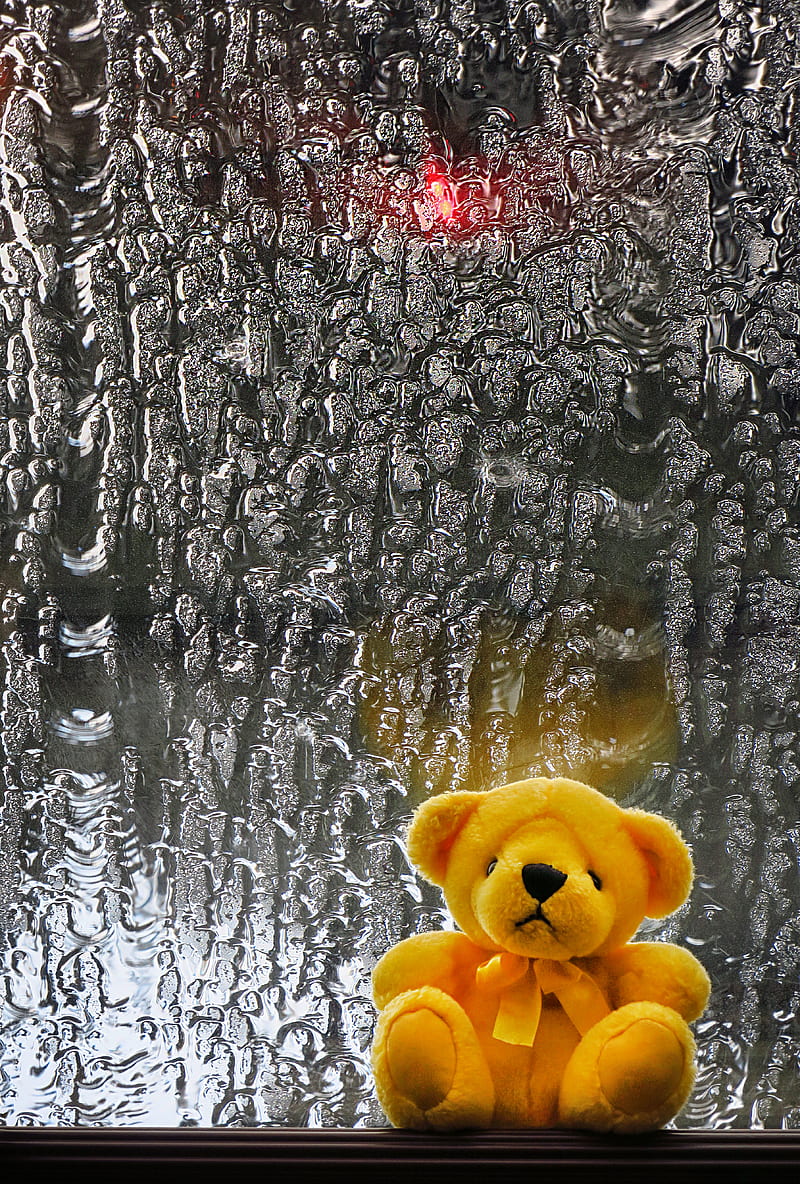 teddy bear, toy, teddy, window, wet, HD phone wallpaper