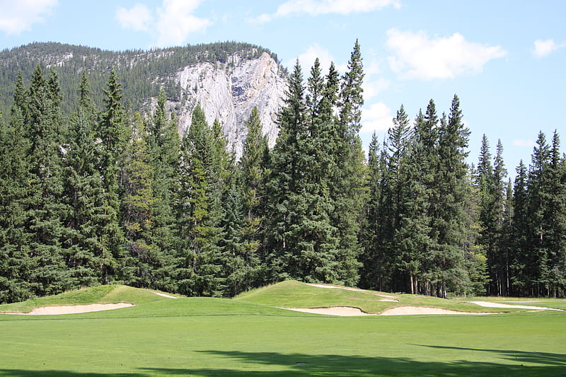 Mountains & tall trees in Banff Alberta National Park 25, banff, trees, sky, clouds, graphy, green, golf course, mountains, nature, fields, majestic, white, blue, HD wallpaper