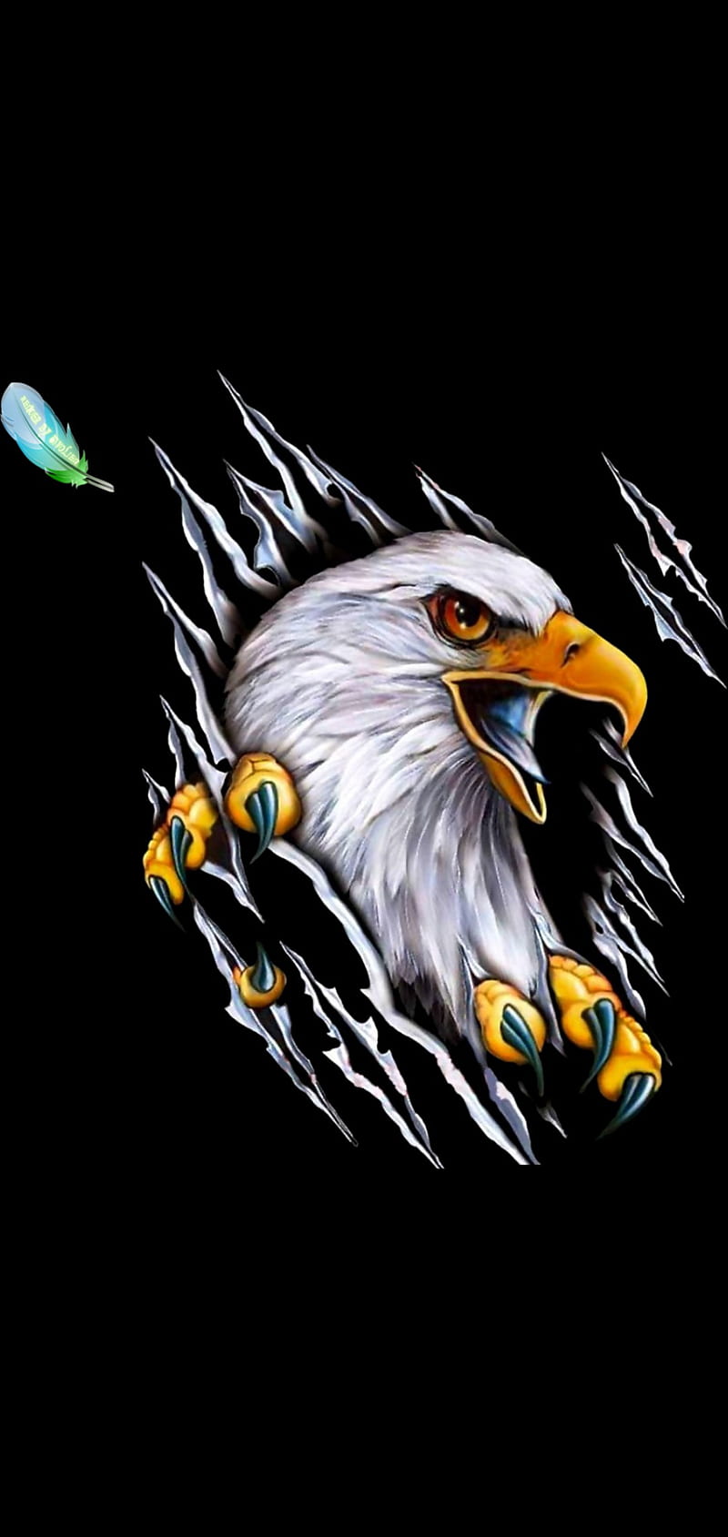 Eagle logo , eyes, HD phone wallpaper