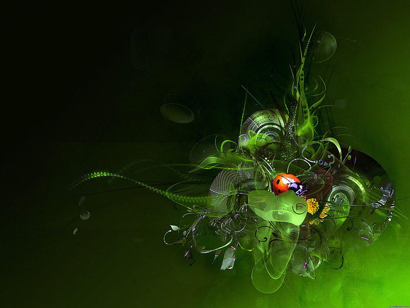 Ladybird In A Grass, red, 3d, green, grass, abstract, ladybird, HD wallpaper