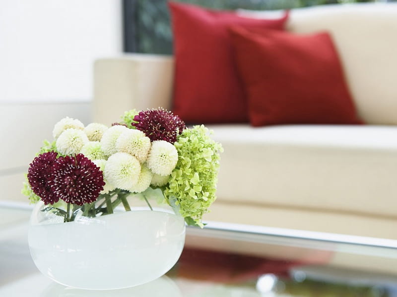 Flowers, lovely, vase, bonito, soft, blossoms arrangement, nature, petals, blooms, sofa, delecate, HD wallpaper