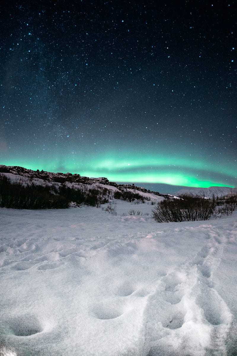 northern lights, aurora, night, starry sky, north, snow, landscape, HD phone wallpaper
