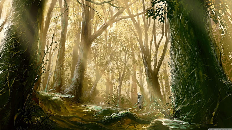 Forest of Light, Trees, Forest, Anime, Light, HD wallpaper | Peakpx