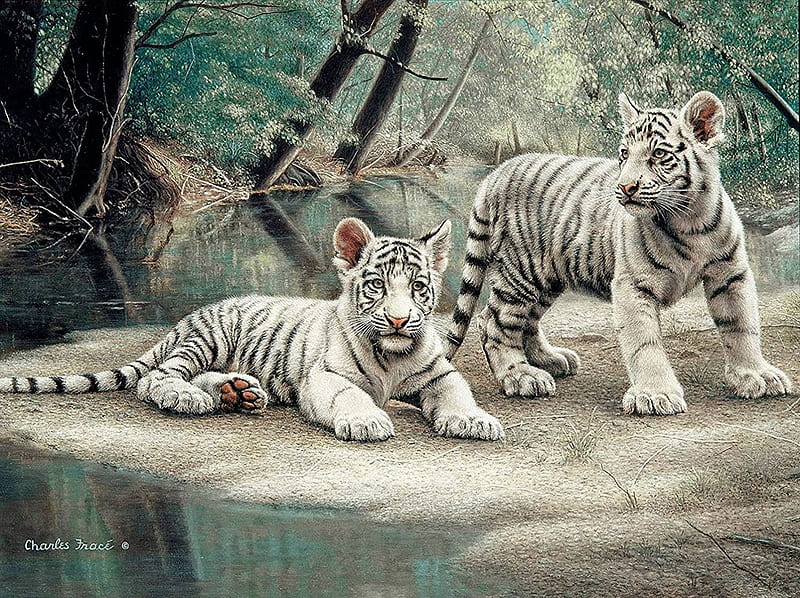 White tiger cubs, charles frace, painting, cub, tiger, white, animal, couple, art, cute, pictura, HD wallpaper