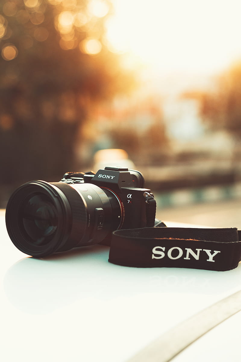 Free Stock Photo of Sony Camera on black background | Download Free Images  and Free Illustrations