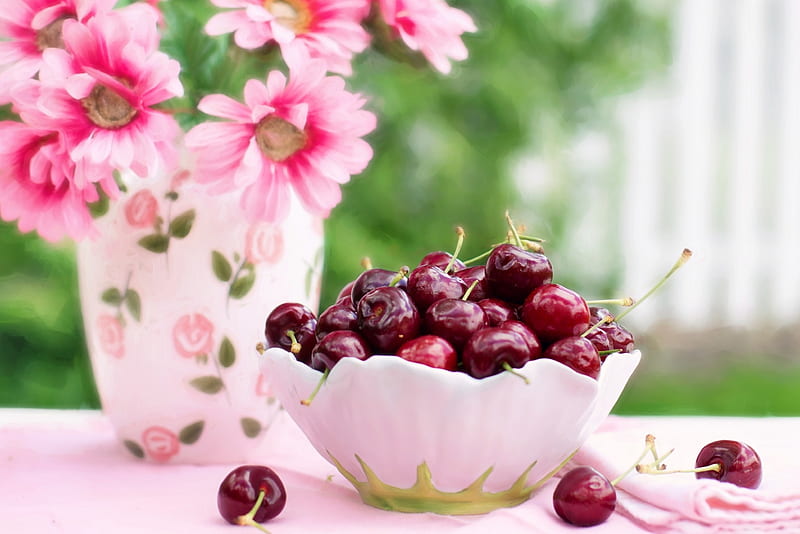 Cherries, food, cherries, bonito, fruit, graphy, summer, flowers, pink, cherry, bowl, HD wallpaper