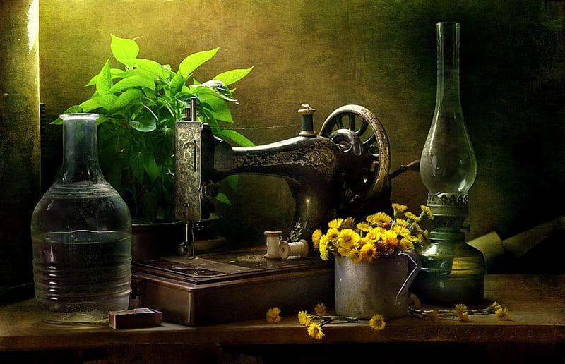Antique Beauty, lantern, plant, book, vase, sewing machine, still life, flowers, antique sewing machine, dandilions, HD wallpaper