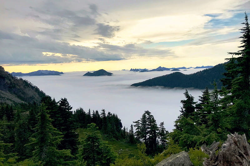 Blanket of clouds in Snoqualmie National Forest, Washington, sunrise, sky, fog, mountains, trees, HD wallpaper