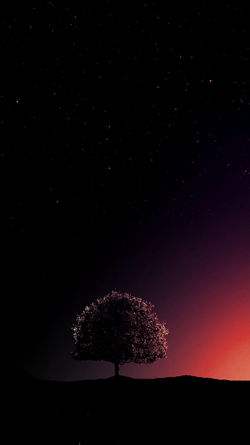 Solitude, alone, tree, HD phone wallpaper