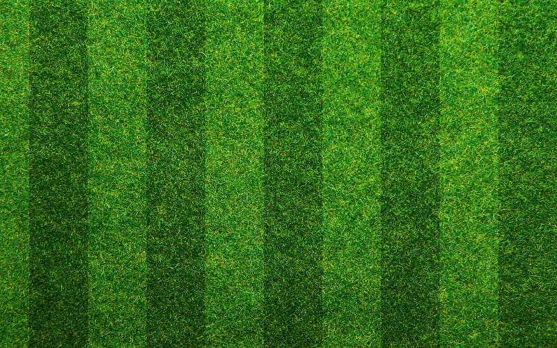 vertical lines on grass green grass texture, macro, green background, vertical lines, grass textures, grass from top, grass background, green grass, HD wallpaper
