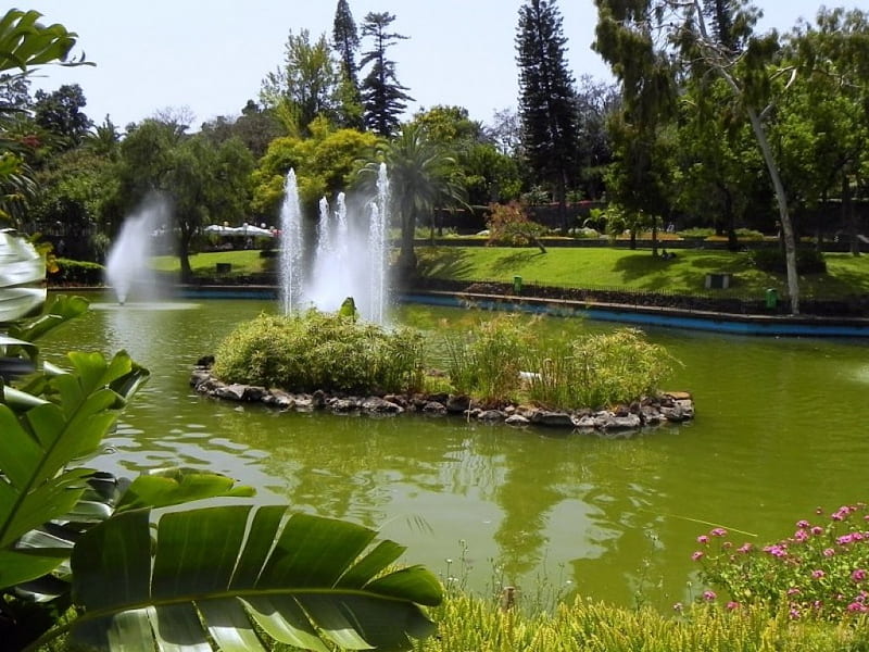 CENTRAL FOUNTAIN, parks, fountains, botanic gardens, plants, portugal ...