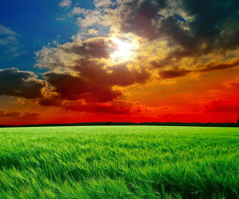 Field Clouds Grass Landscape Nature Sunset Hd Wallpaper Peakpx