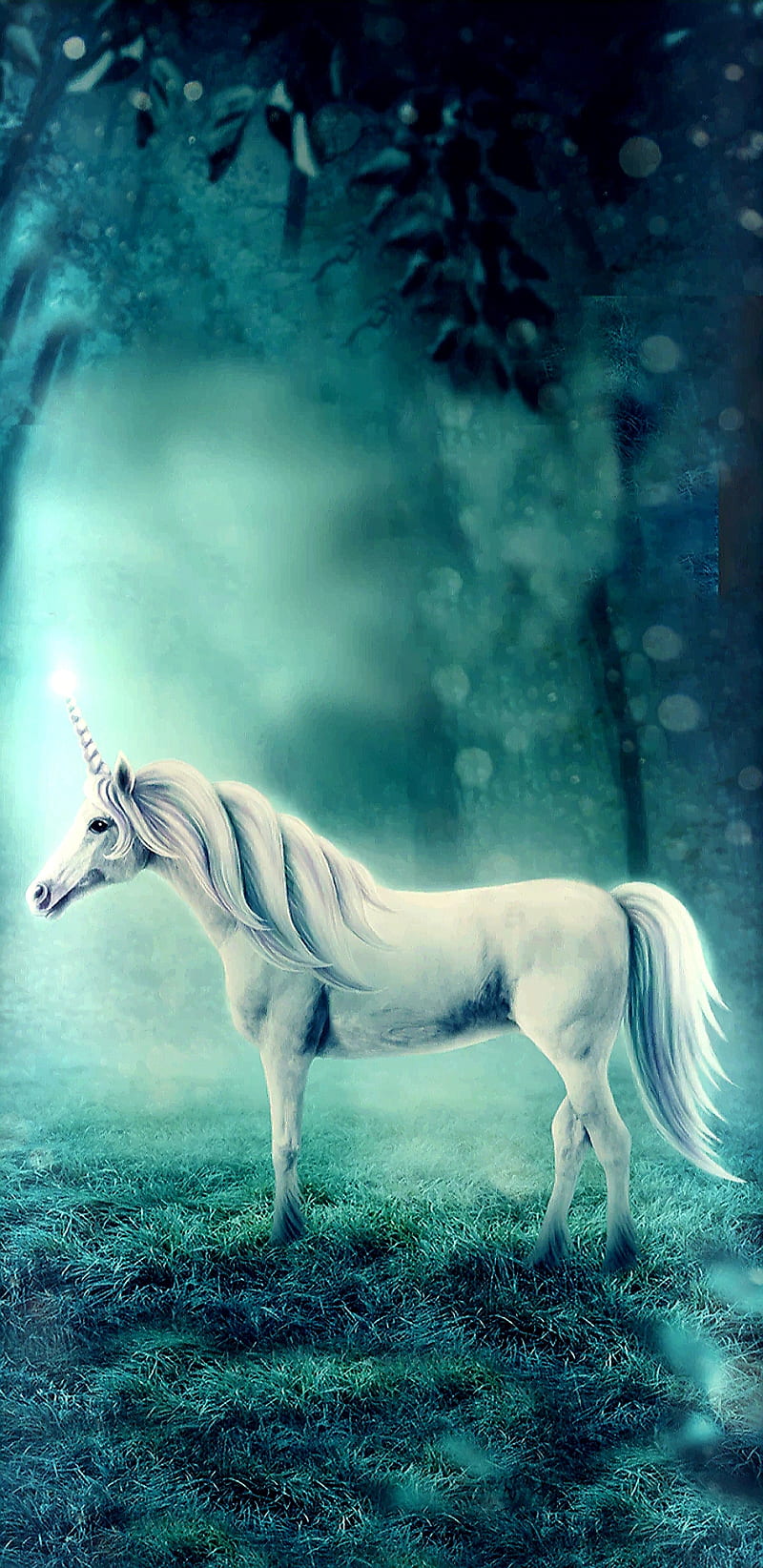 Lonely Unicorn, bonito, beauty, forest, teal, HD phone wallpaper