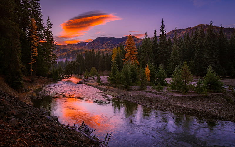 mountain river, sunset, forest, mountain landscape, USA, HD wallpaper
