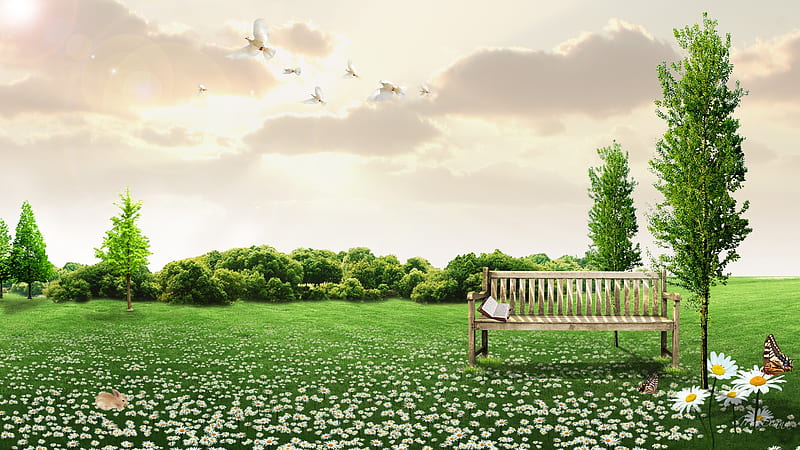 To Read and Relax, grass, relax, book, birds, firefox persona, spring, daisies, tree, doves, butterfly, summer, flowers, clopuds, field, HD wallpaper