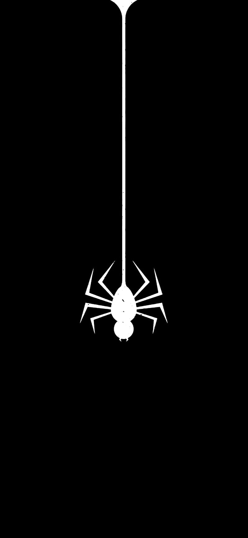 Spiderman , black logo, HD phone wallpaper