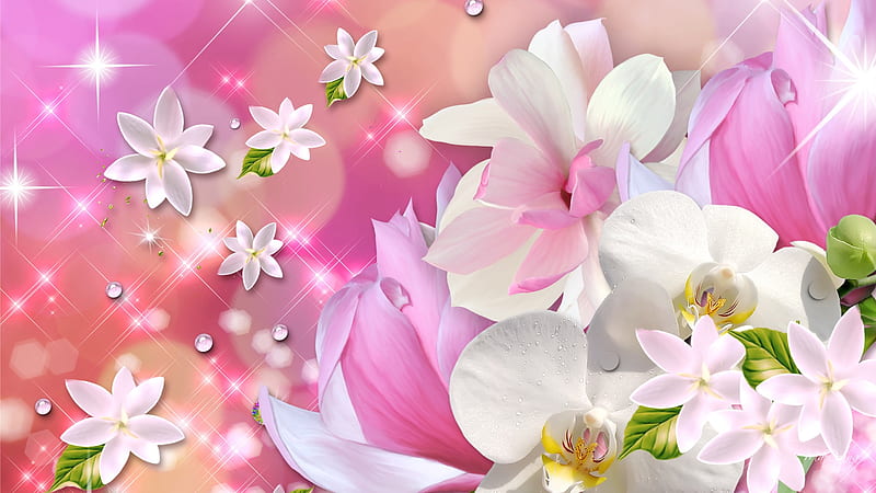 Ode to Orchids, stars, exotic, dramatic, shine, scatter, spring, orchids, summer, flowers, pink, HD wallpaper
