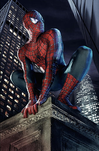 Spider-Man, avengers, avengers endgame, marvel, sam raimi, sam raimi spiderman, spiderman, toby maguire, HD phone wallpaper