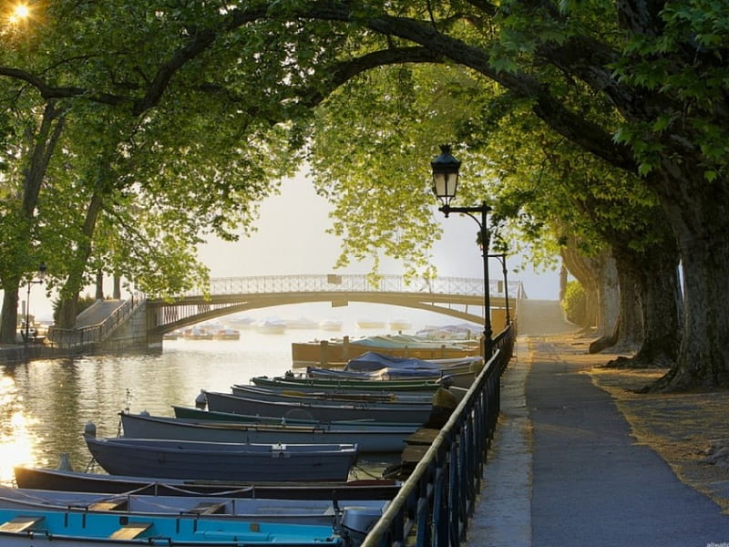 PARK ALLEY, lamps, setting, creek, trees, boats, city, water, bridge, peaceful, nature, river, HD wallpaper