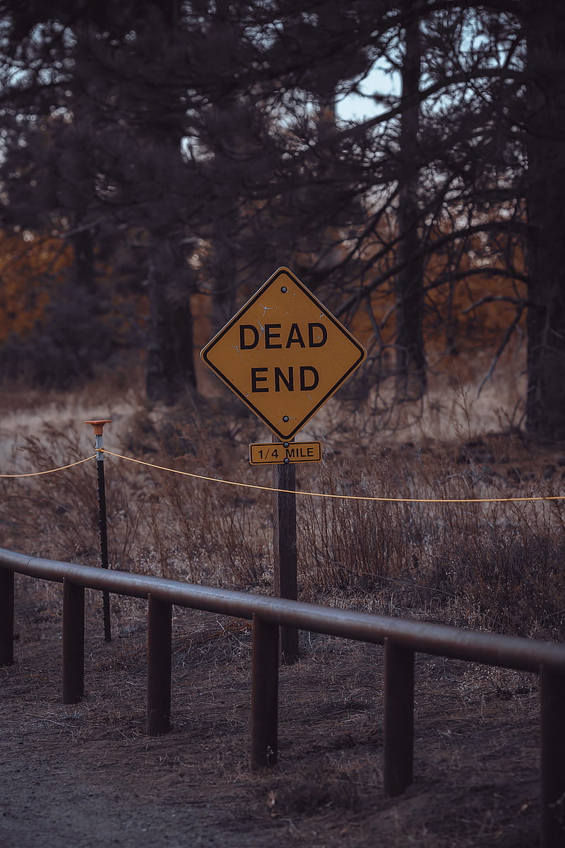 dead end sign, forest, inscription, trees, Nature, HD phone wallpaper