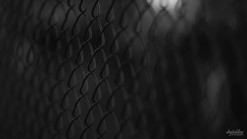wire, mesh, black, HD wallpaper