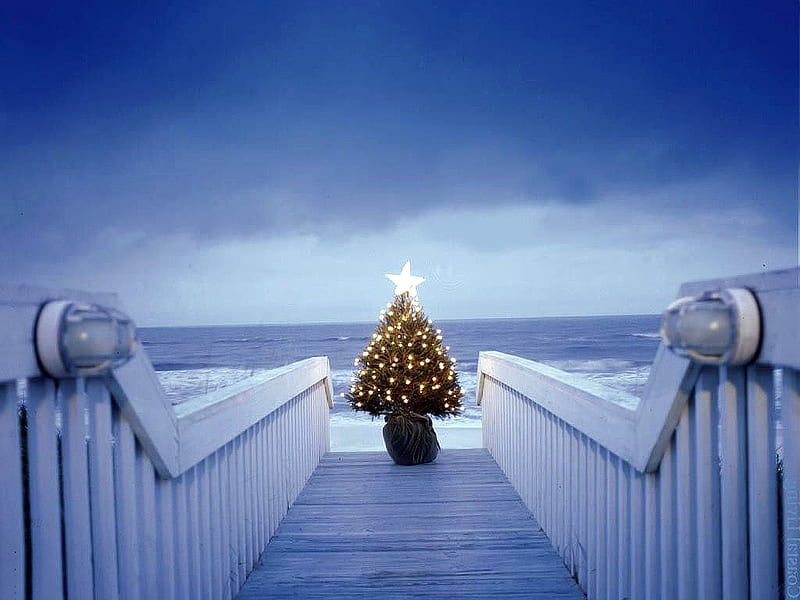 Merry Christmas From the Beach, ocean, blue, beach, sand, warmth, homey, peir, HD wallpaper