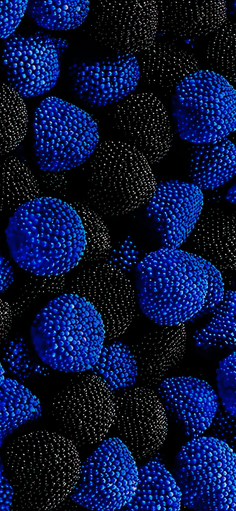 Galaxy s10 blue, samsung, plus, note, 10, raspberry, one, edge, HD phone  wallpaper | Peakpx
