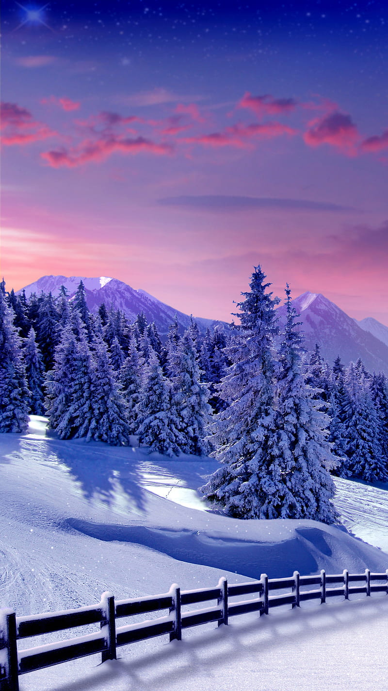 Winter landscape , snow, tree, HD phone wallpaper