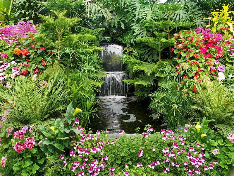 GARDEN OF JOY, ferns, plants, flowers, gardens, water features, tropical, foliage, waterfalls, HD wallpaper