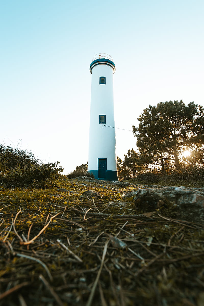 lighthouse, building, tower, trees, nature, HD phone wallpaper