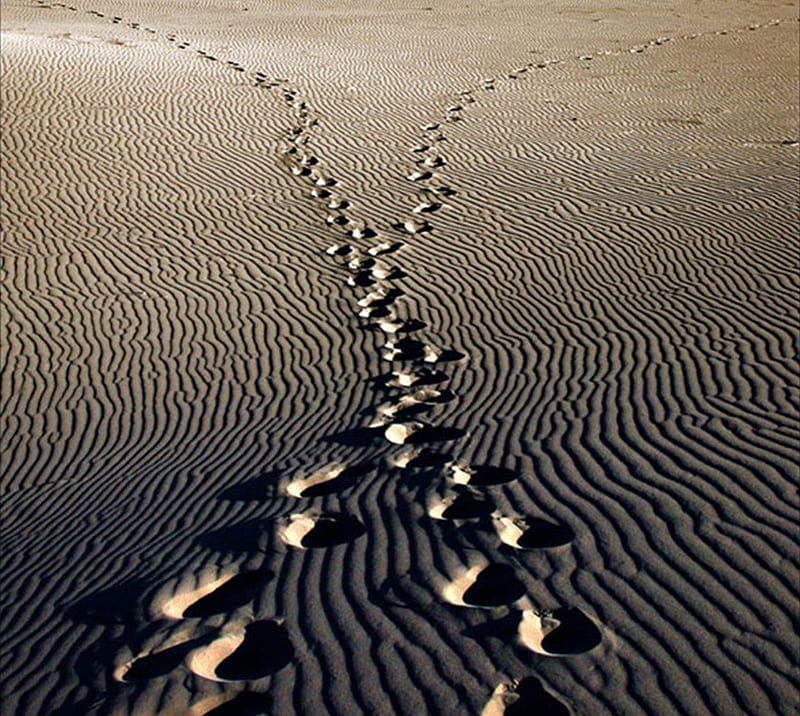 footsteps in the sand, meaning, sand, footsteps, collage, sense, HD wallpaper