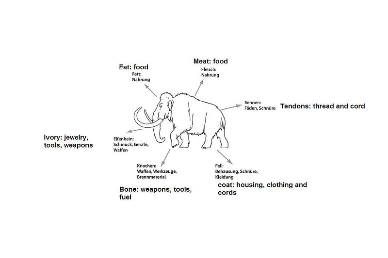 Exploitation of a Mammoth, hunting, illustration, switzerland, mammoth, zurich, mammoth bull, HD wallpaper