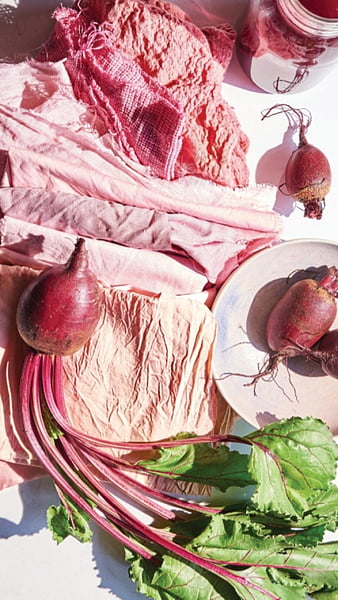 4,353 Beetroots Stock Photos - Free & Royalty-Free Stock Photos from  Dreamstime