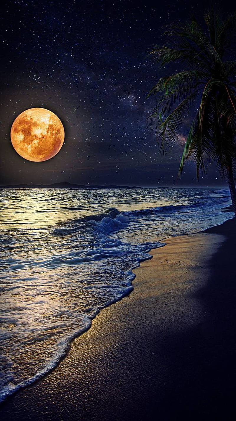 Night, beach, landscape, moonshine, sea, sunset, HD phone wallpaper