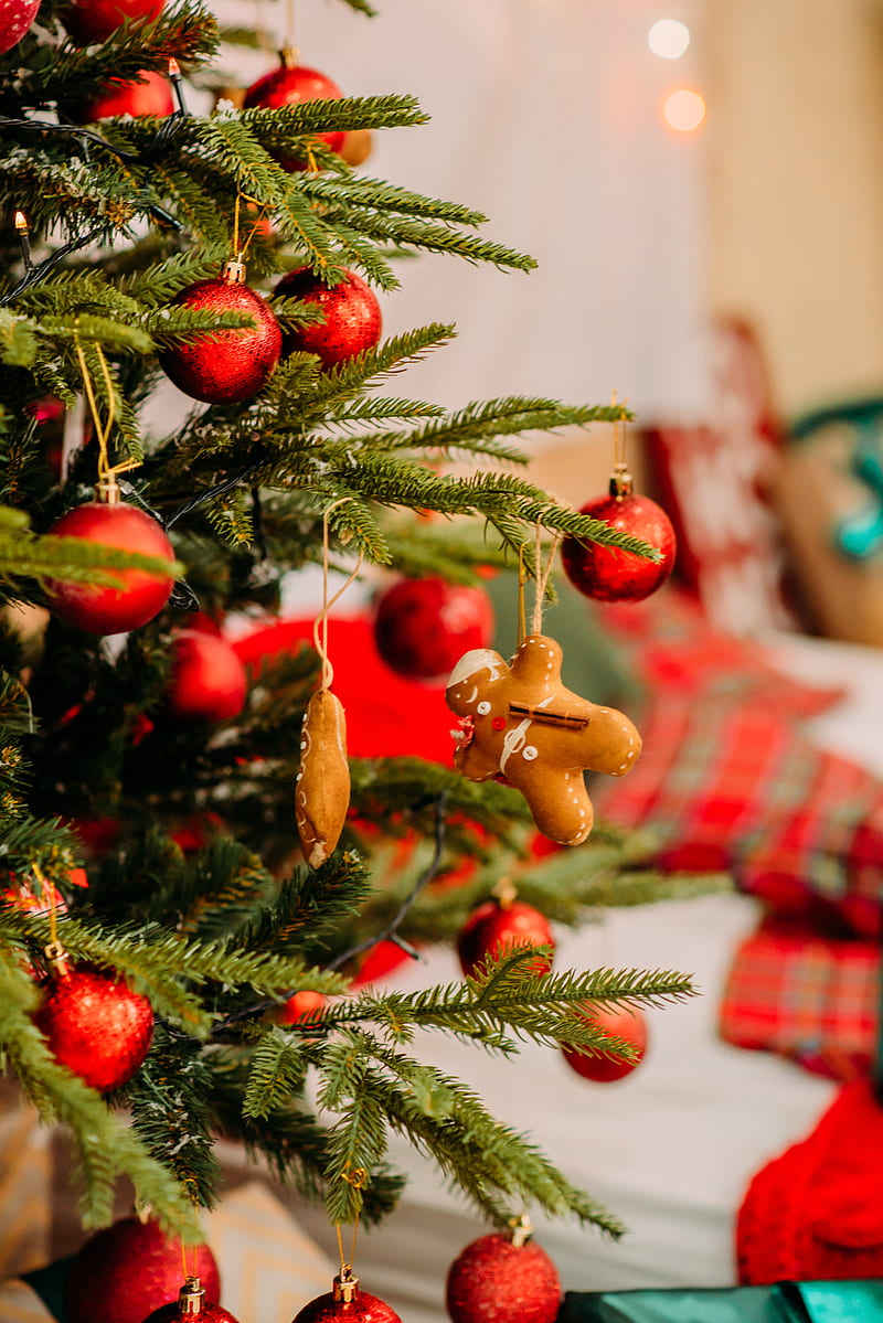 christmas tree, decoration, christmas, new year, holidays, HD phone wallpaper