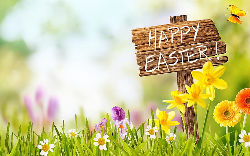 Happy Easter!, Easter, butterfly, grass, daffodils, flowers, sign, Spring, wood, HD wallpaper