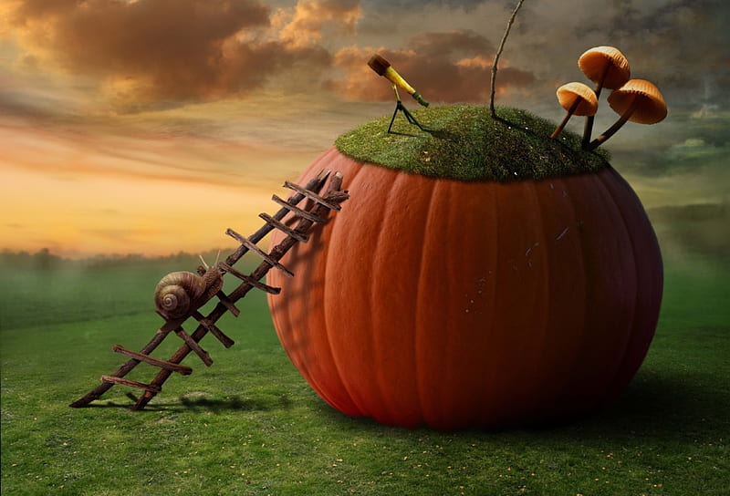 Fantasy pumpkin, autumn, house, snail, orange, mushroom, fantasy, green, pumpkin, funny, HD wallpaper