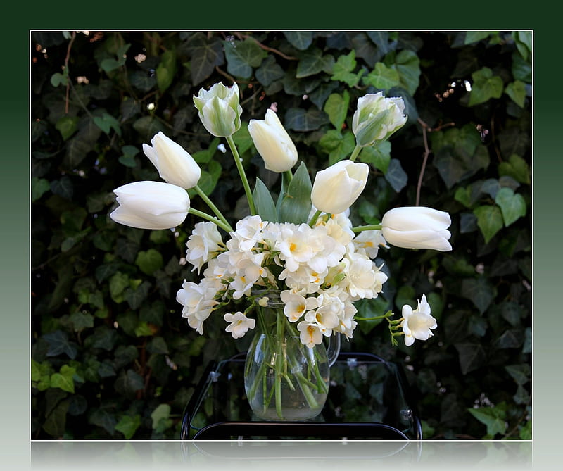 white, glass, still life, fresias, tulips, jag, HD wallpaper