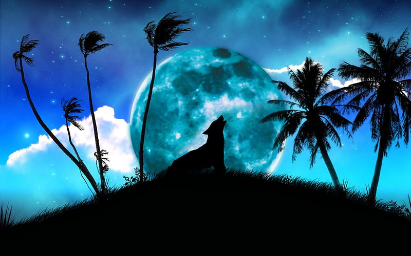 The wolf and the blue night, wonderful, magic, twilight, howl, loup, moon, full moon, painting, legend, fairy, tranquility, blue, night, amazing, lobo, black, peace, trees, tale, cool, serenity, howls, drawing, moonlight, peaceful, awesome, wolf, wolves, howling, palm tree, HD wallpaper