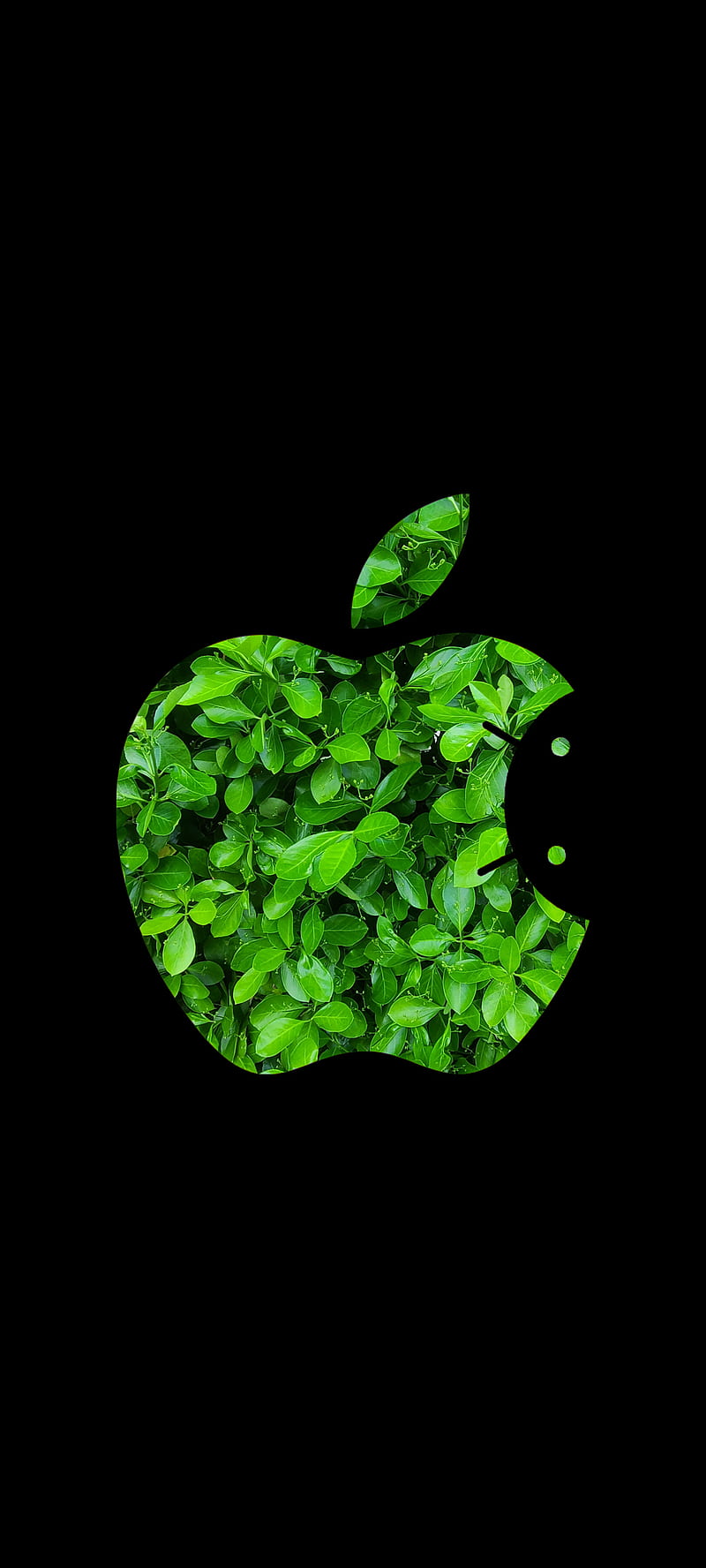 Apploid Green, android, apple, galaxy, google, ipad, iphone, linux, mac, samsung, software, HD phone wallpaper