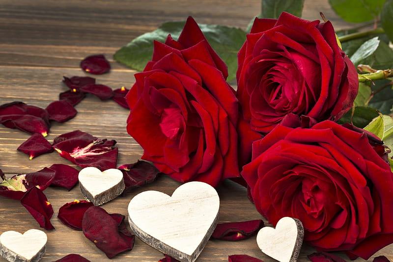 Happy Valentine's Day!, red, rose, heart, petals, valentine, white ...