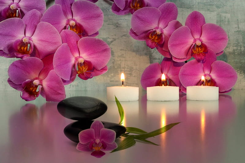 Romantic spa, spa, candles, orchid, style, HD wallpaper
