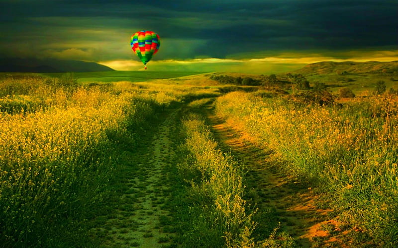 Long road, path, nature, fields, air balloon, HD wallpaper | Peakpx