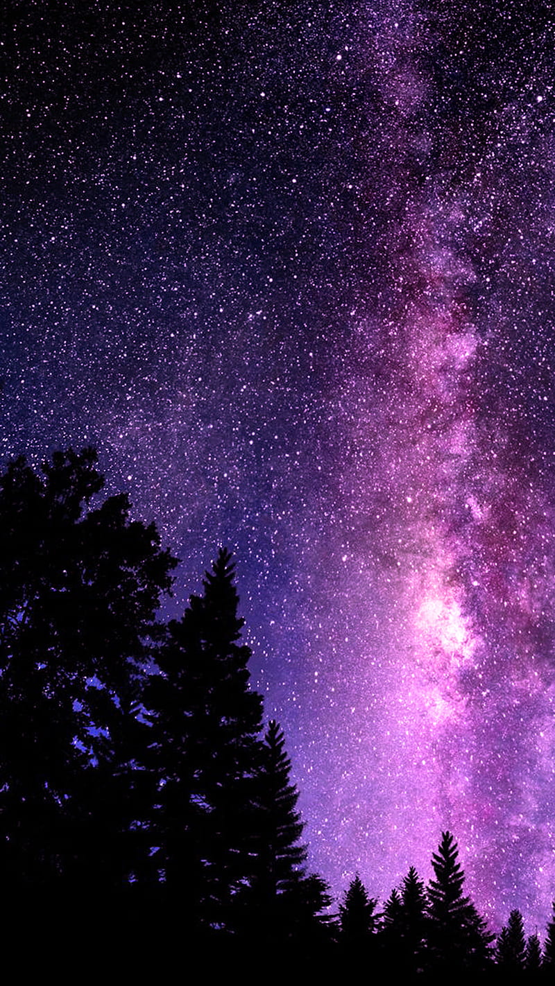 Sky, black, forest, galaxy, nebula, night, purple, stars, HD phone wallpaper